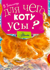 Для чего коту усы?