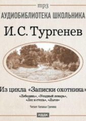 Из записок охотника: Лебедянь. Уездный лекарь. Лес и степь. Льгов