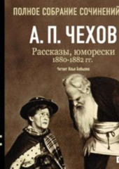 Рассказы, юморески 1880 – 1882 г.г. Том 2