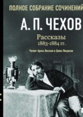 Рассказы 1883 – 1884 г.г. Том 6