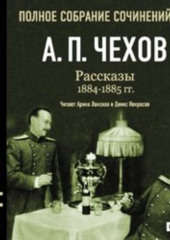 Рассказы 1884 – 1885 г.г. Том 12