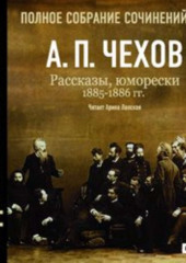 Рассказы, юморески 1885 – 1886 г.г. Том 13