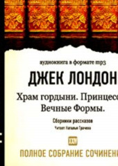 Храм гордыни. Принцесса. Вечные формы и другие рассказы