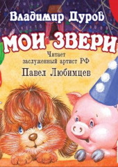 Мои звери