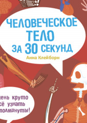 Человеческое тело за 30 секунд