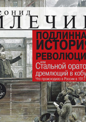 Подлинная история революции, или Стальной оратор, дремлющий в кобуре. Что происходило в России в 1917 году