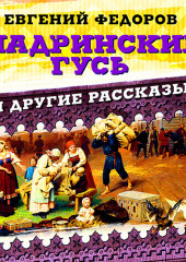 Шадринский гусь и другие рассказы