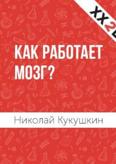 Как работает мозг?