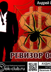 Ревизор 007