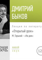 Лекция Открытый урок М. Горький – «На дне»