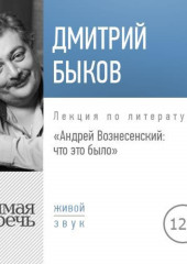 Лекция «Андрей Вознесенский: что это было»