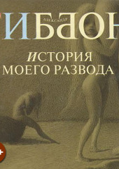 История моего развода