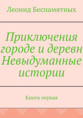 Приключения в городе и деревне. Невыдуманные истории. Книга первая