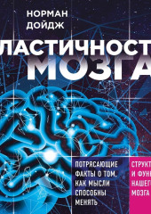 Пластичность мозга. Потрясающие факты о том, как мысли способны менять структуру и функции нашего мозга