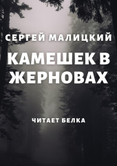 Камешек в жерновах