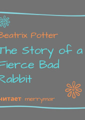 The Story of a Fierce Bad Rabbit