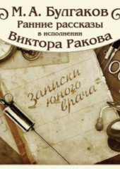 Записки юного врача (цикл рассказов)