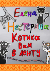 Котика вам в ленту!