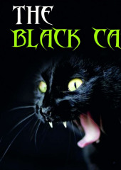 The Black Cat