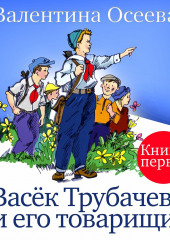 Васек Трубачев и его товарищи. Книга первая