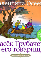 Васек Трубачев и его товарищи. Книга вторая