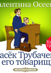 Васек Трубачев и его товарищи. Книга третья