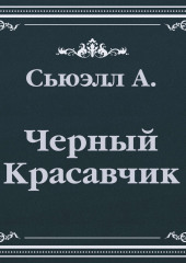 Черный Красавчик (сокращенный пересказ)