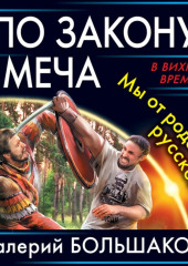 По закону меча. Мы от рода русского!