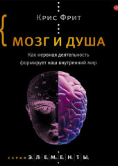 Мозг и душа. Как нервная деятельность формирует наш внутренний мир