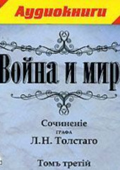 Война и мир. Том 3