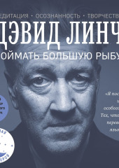 Поймать большую рыбу. Медитация, осознанность, творчество