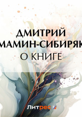 О книге