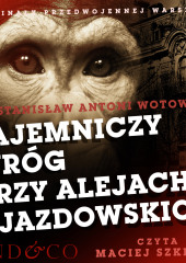 Tajemniczy wróg przy Alejach Ujazdowskich