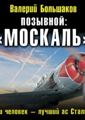 Позывной: «Москаль». Наш человек – лучший ас Сталина