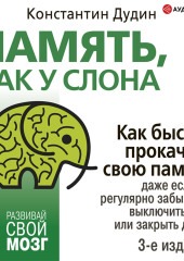 Память, как у слона. Как быстро прокачать свою память, даже если вы регулярно забываете выключить утюг или закрыть дверь