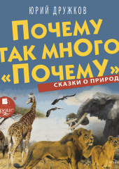 Почему так много «почему». Сказки о природе