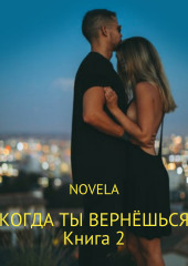 Когда ты вернешься. Книга 2