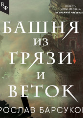 Башня из грязи и веток