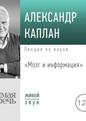 Лекция «Мозг и информация»