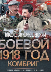 Боевой 1918 год. Комбриг