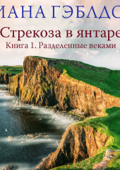 Стрекоза в янтаре. Книга 1. Разделенные веками