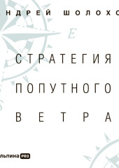 Стратегия попутного ветра. Как обнаружить или создать асимметрии, способные придать бизнесу ускорение