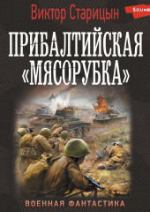 Боевой 41 год. Прибалтийская «мясорубка»