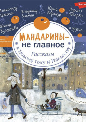 Мандарины – не главное. Рассказы к Новому году и Рождеству