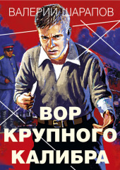 Вор крупного калибра