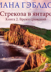 Стрекоза в янтаре. Книга 2. Время сражений