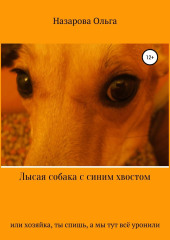 Лысая собака с синим хвостом, или хозяйка, ты спишь, а мы тут всё уронили!