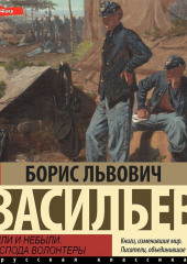 Были и небыли. Книга 1. Господа волонтеры