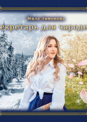 Секретарь для чародея