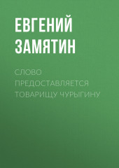 Слово предоставляется товарищу Чурыгину